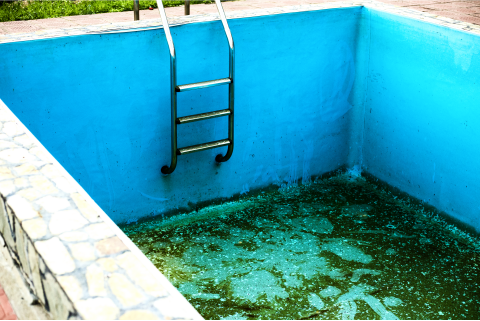 pool upgrade, removal, or replacement