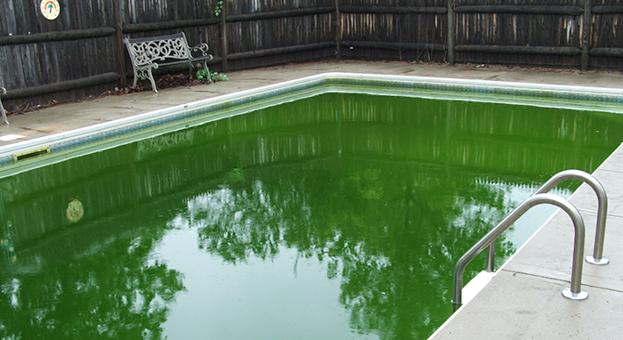 close your pool properly or remove it