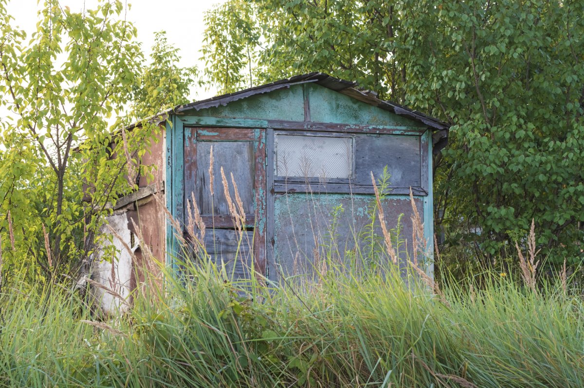 old abandoned shed