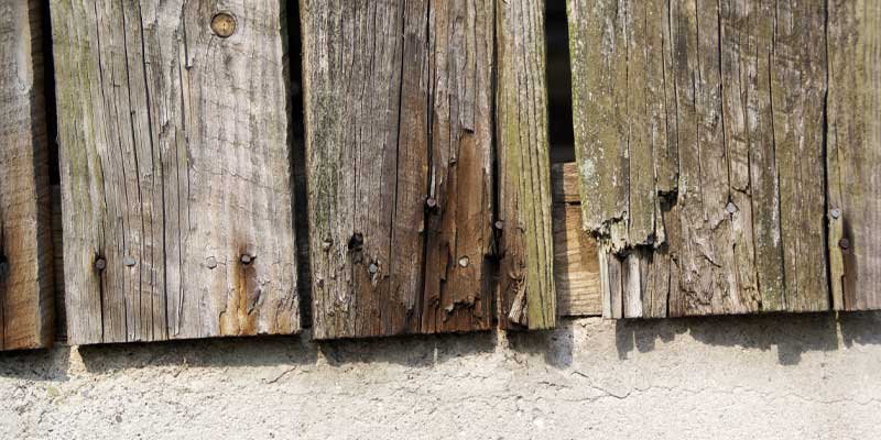 Splintering wooden fence