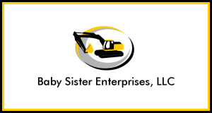 Baby Sister Enterprises LLC logo