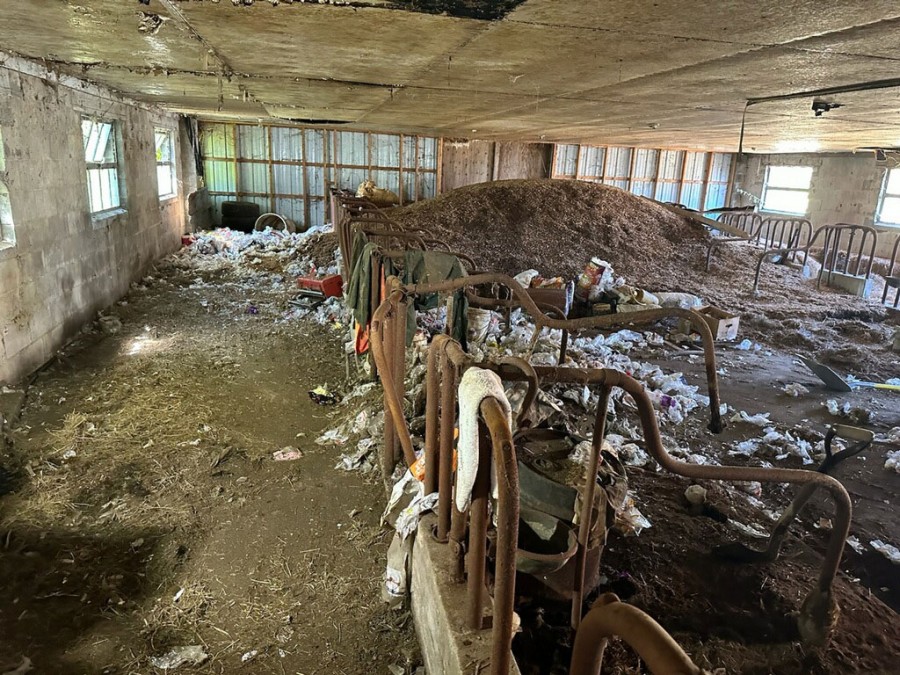 Klean Assurance Junk Removal photo