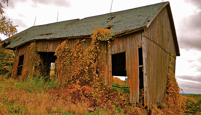 getting rid of old barn