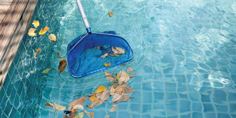 using pool net to remove leaves from pool