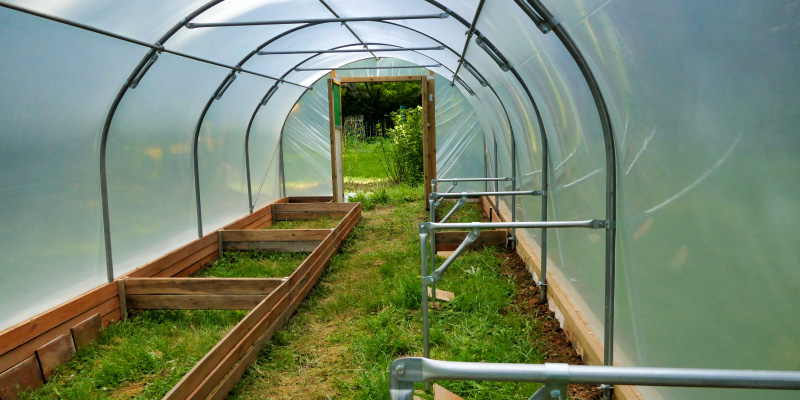 interior view of empty greenhouse