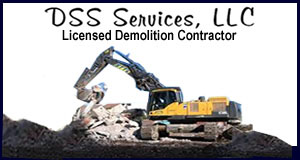 DSS Services LLC logo