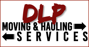 DLP Services logo