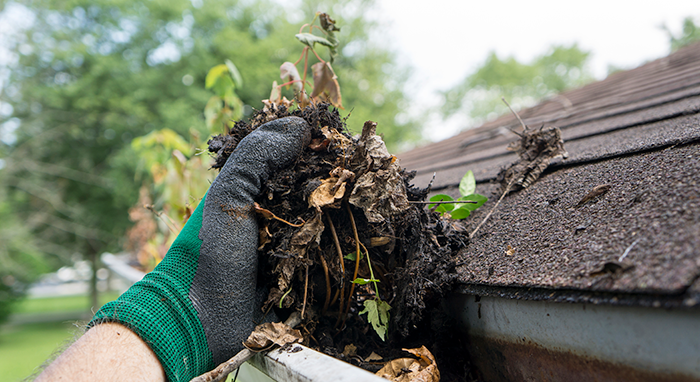 clean out your gutters
