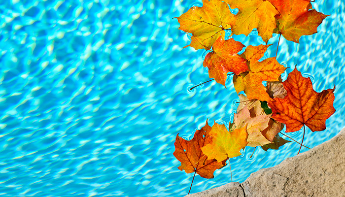 prepare your pool for fall and winter