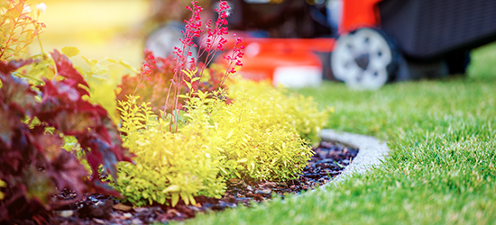 mowing beautiful lawn