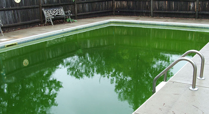 inground pool removal methods