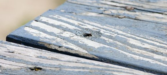 Damaged deck boards