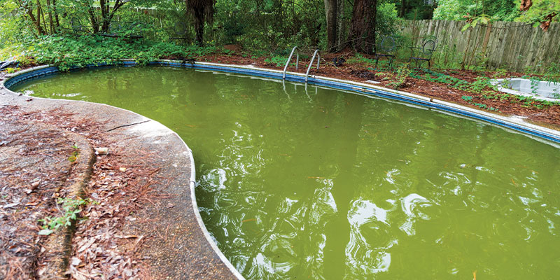 old dirty inground pool