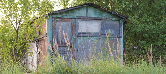 old shed in overgrown lawn