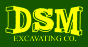 DSM Excavating logo
