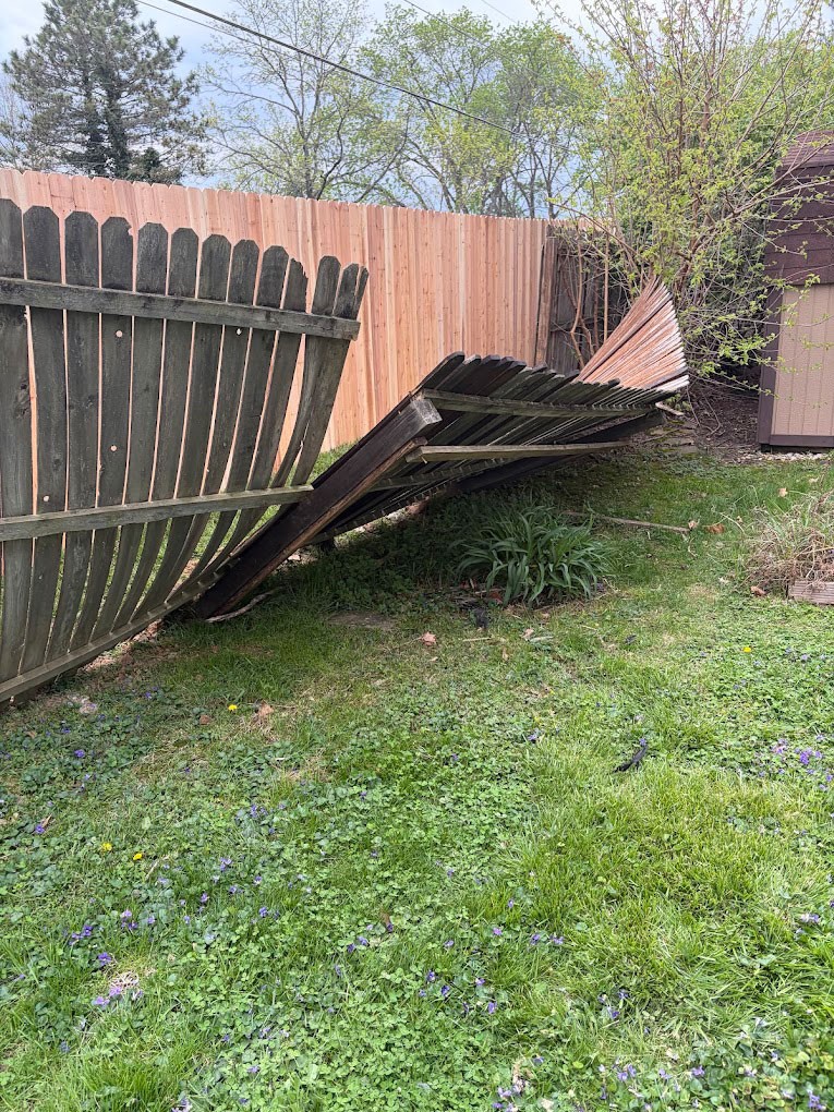MX Landscaping & Construction photo