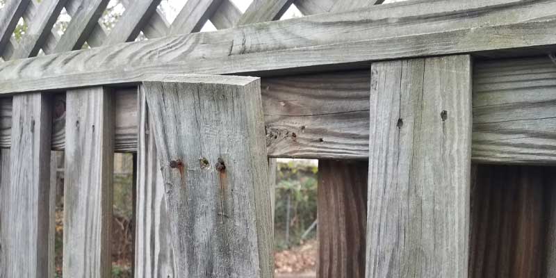 Warping wooden fence boards