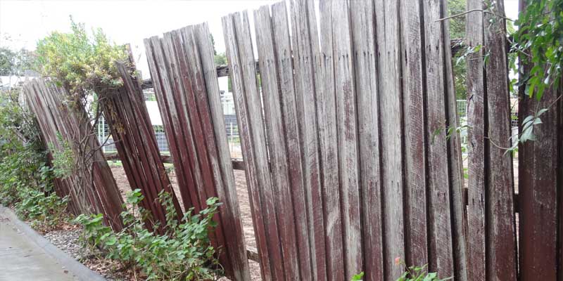 wooden fence with missing boards