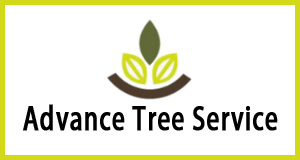 Advance Tree Service logo