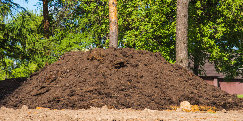 pile of dirt in yard