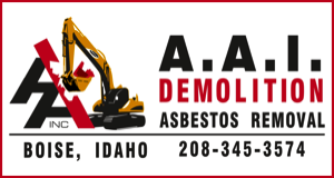 A.A.I. Demolition logo