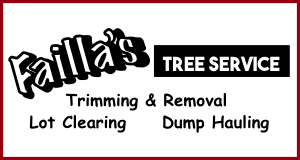 Faillas Demolition Service logo
